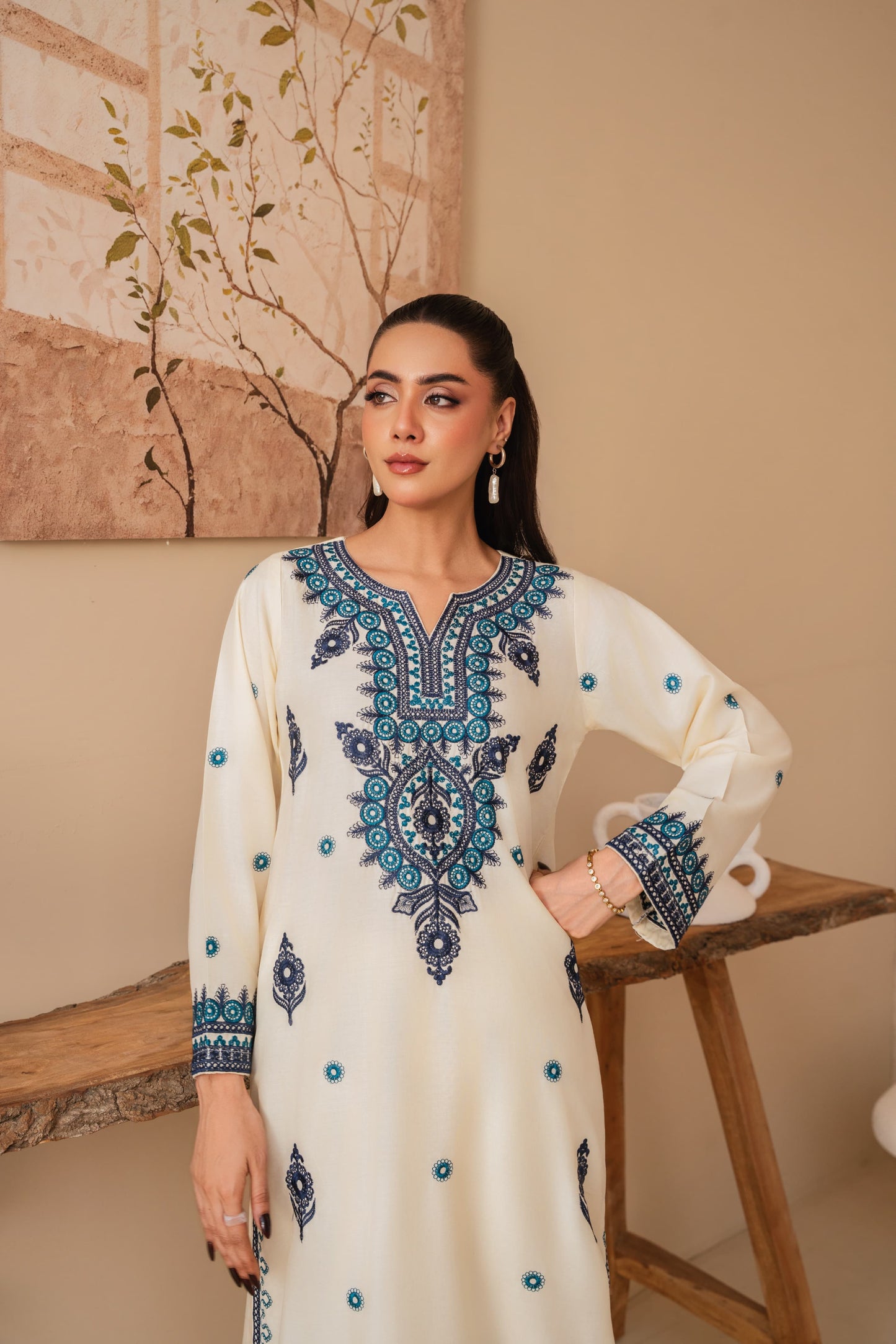 Noor elegance embroided 2 peice